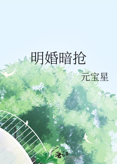 明婚暗抢元星宝免费阅读全文