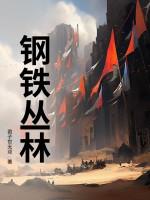 钢铁丛林mk14