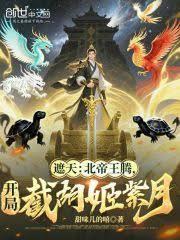 遮天中皇北帝