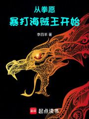 从拳愿暴打海贼王开始全本