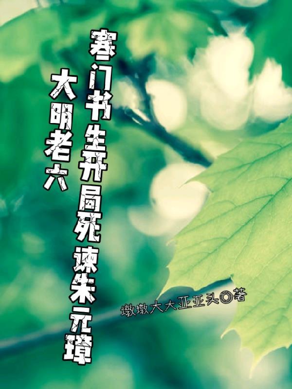 大明寒门书生 好看吗