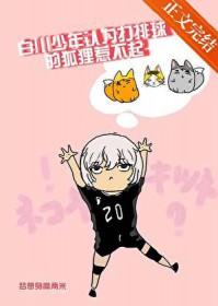 排球少年打白鸟泽是第几季