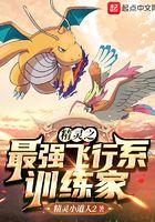 精灵之最强飞行系训练家作者精灵小道人2