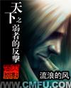 天下之弱者的反击 流浪的风