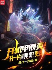 开机甲是什么意思