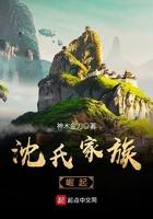 沈氏家族崛起起点