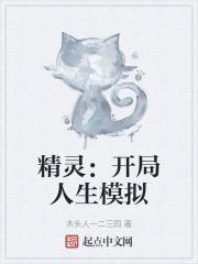 精灵开局sss级模板造神