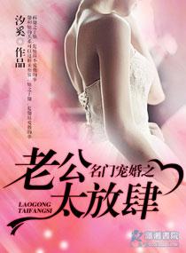 名门宠婚之老公太放肆讲的是什么
