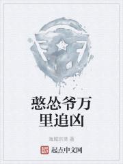 憨怂爷万里追凶txt