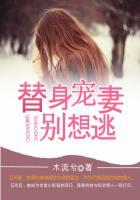 替身总裁宠妻入骨