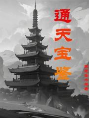 通天宝鉴演员表介绍