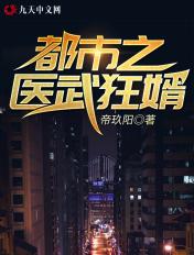 都市之医武狂婿叶飞