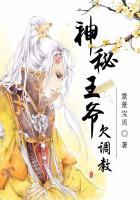 神秘王爷的宠妃