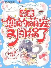 帝君,您的萌宠又闯祸了