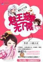 肥妃正当道:魅王宠妻无下限
