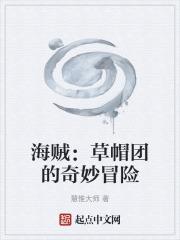 海贼:草帽团的奇妙冒险