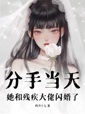 分手当天,她和残疾大佬闪婚了