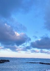 睡服那个作精（1V1高H）