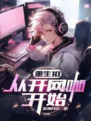 重生10,从开网咖开始